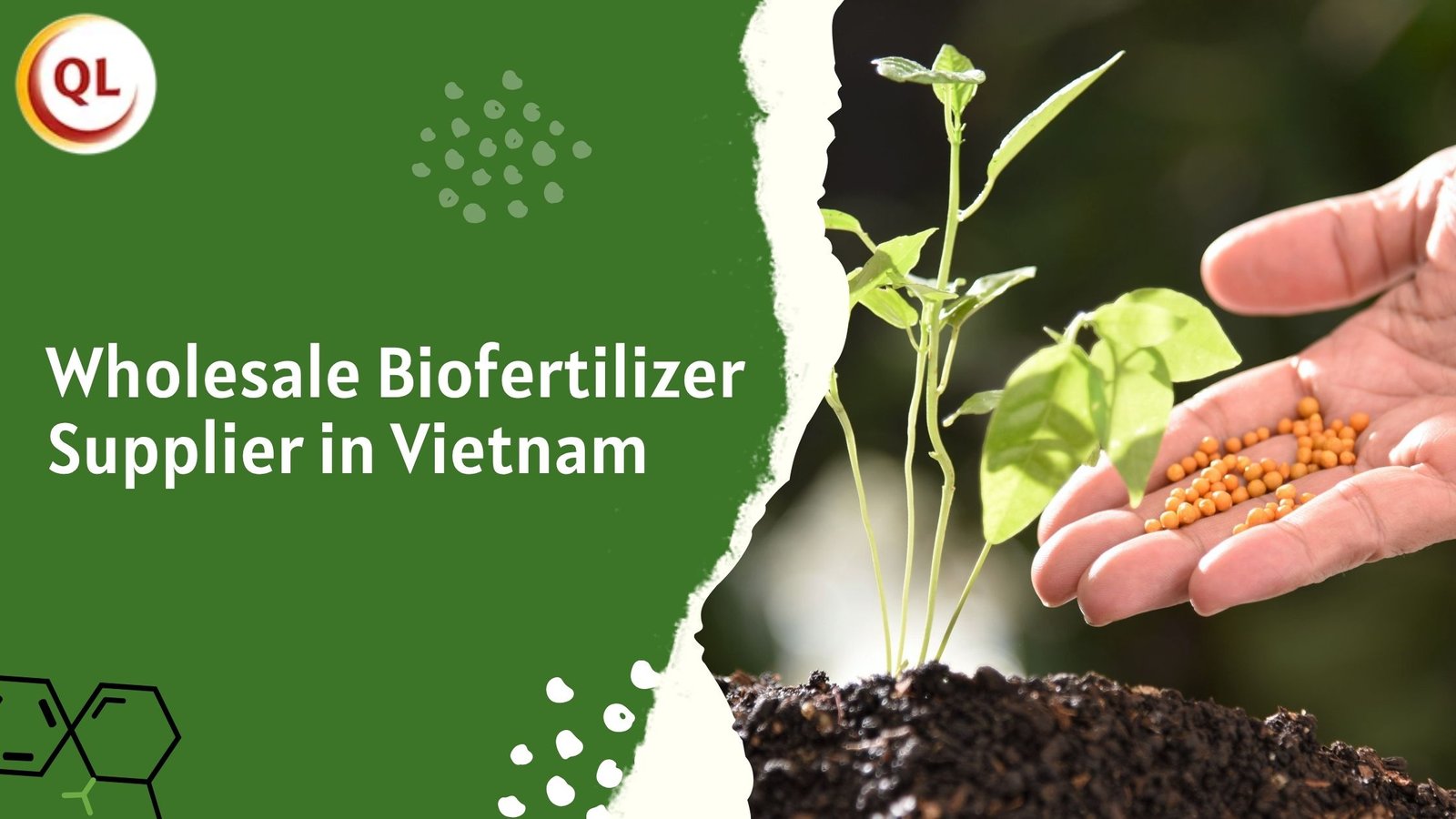 The Role of Wholesale Biofertilizer Suppliers in Vietnam’s Sustainable Agriculture